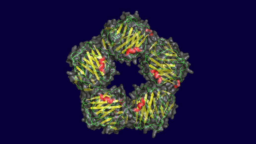 PTX3 is a Predictive Marker of Co-infection in Hospitalized Patients