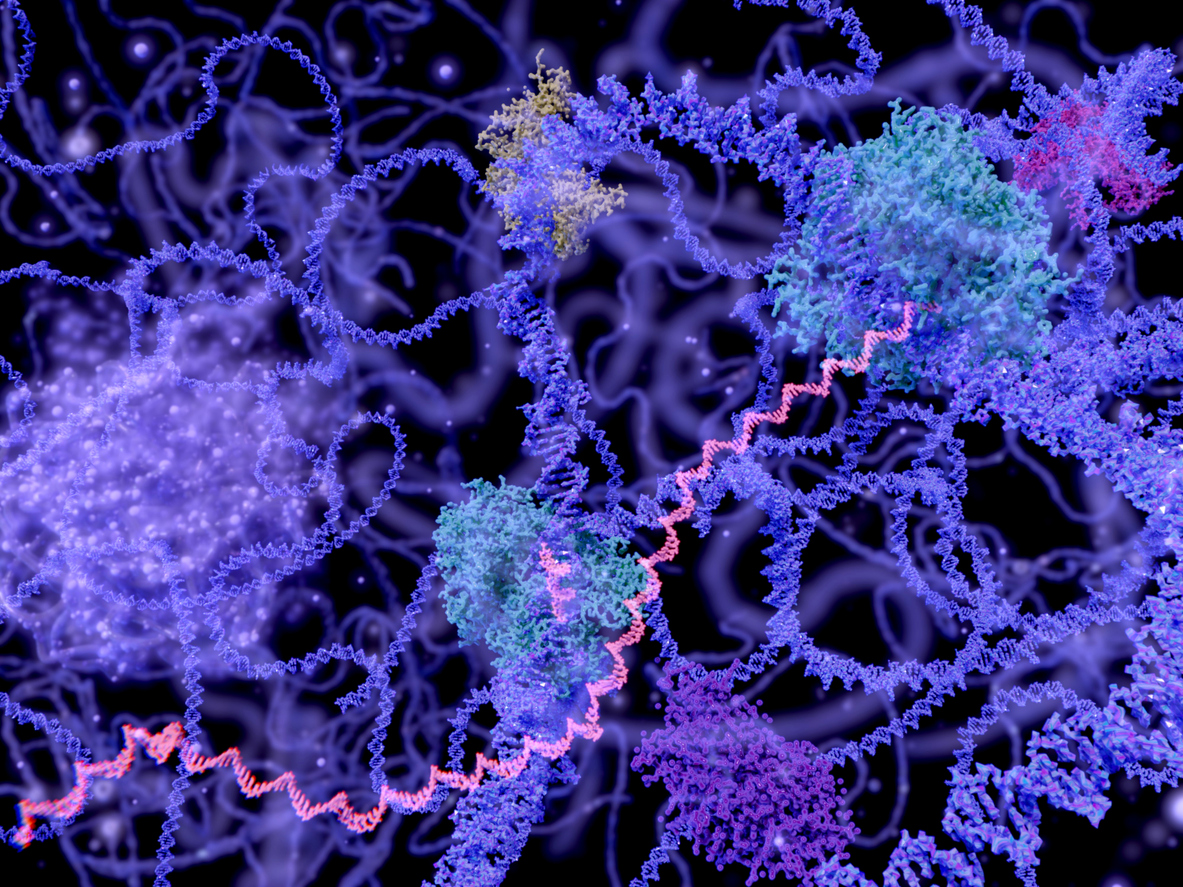 Innovative genome technology for improving the diagnosis of a rare genetic disease